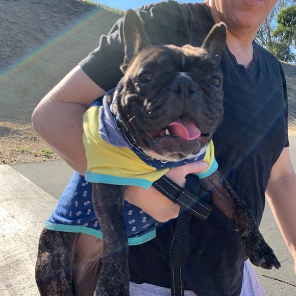 Meet your Posher, Randi - Picture 7 of 8